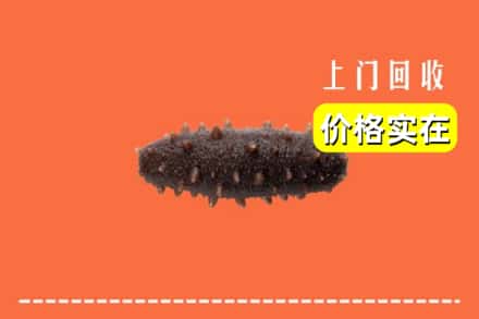收购资讯:东莞石排镇回收海参